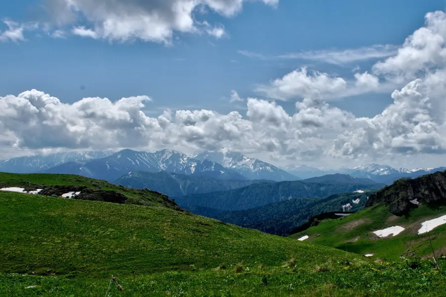 Лагонаки
