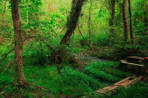 Самурский лес и водопад Хучни — обложка